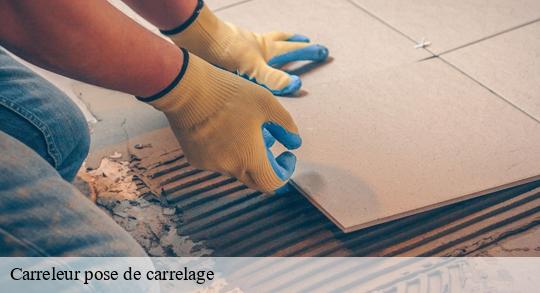 Carreleur pose de carrelage